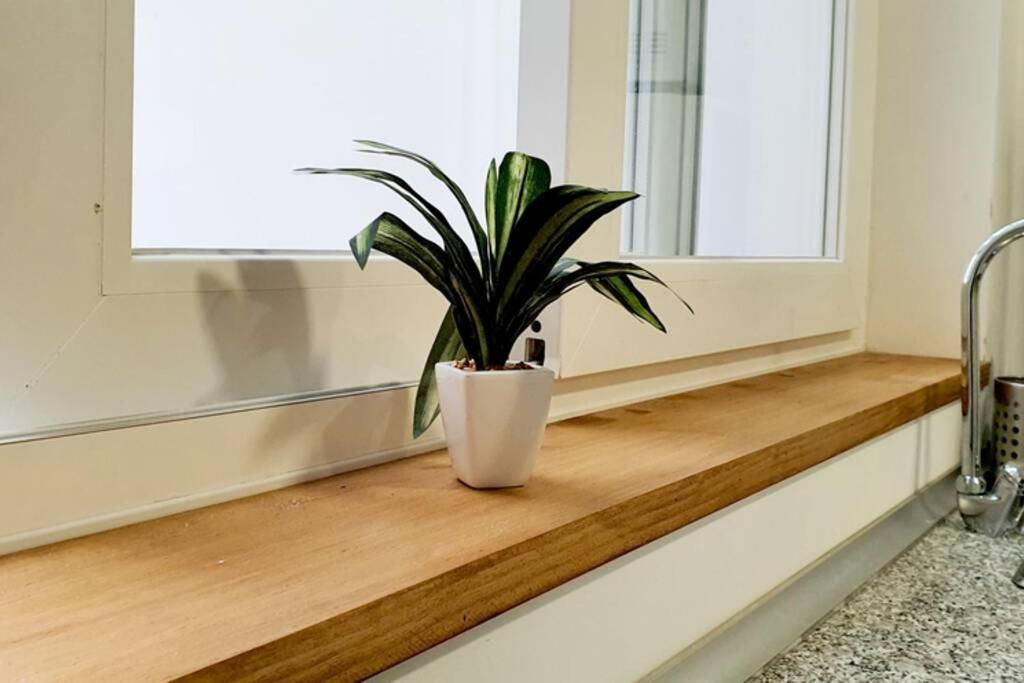 Apartamento Interior En El Absoluto Centro Ba Algeciras Kültér fotó